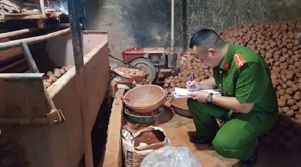 Bắt quả tang 1 tấn khoai tây Trung Quốc “đột lốt” khoai tây Đà Lạt