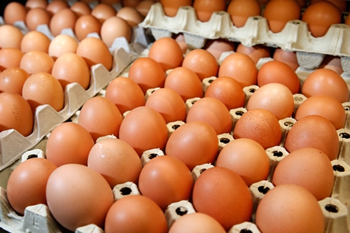 Bắt giữ hơn 17.000 quả trứng gà không rõ nguồn gốc