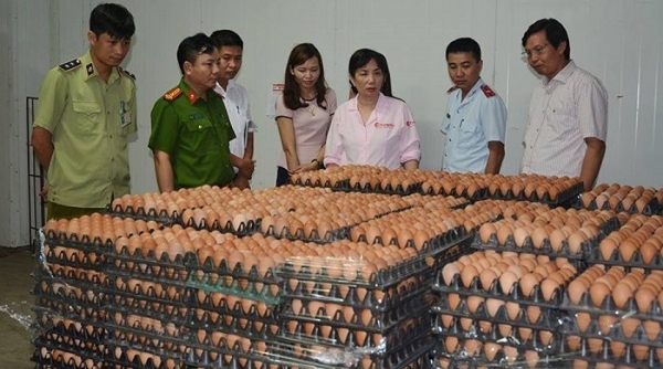 Gần 30% cơ sở thực phẩm ở Thạch Thất hoạt động chui