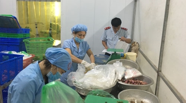 Hà Nội: Chú trọng thanh tra, giám sát vấn đề toàn thực phẩm