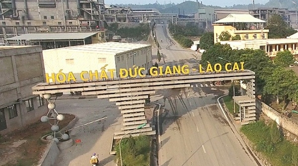 Hủy niêm yết 100 triệu cổ phiếu DGL của Hóa chất Đức Giang Lào Cai trên HNX từ ngày 5/9
