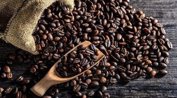 8 tháng đầu năm: Giá xuất khẩu cà phê giảm nhẹ so với cùng kỳ