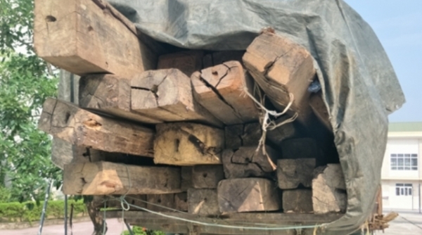 Hà Tĩnh: Tạm giữ xe tải chất đầy gỗ lậu