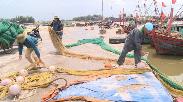 Hải Phòng: Lãnh đạo huyện bị phê bình do vắng họp phòng chống siêu bão MANGKHUT