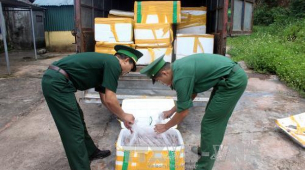 Quảng Ninh: Liên tiếp bắt giữ nhiều vụ vận chuyển nội tạng động vật không rõ nguồn gốc xuất xứ