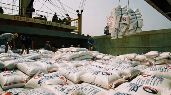 Nhiều tín hiệu lạc quan trong xuất khẩu gạo
