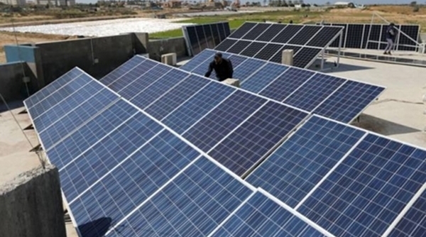 Bình Thuận: Xây dựng nhà máy điện mặt trời gần 1.000 tỷ đồng