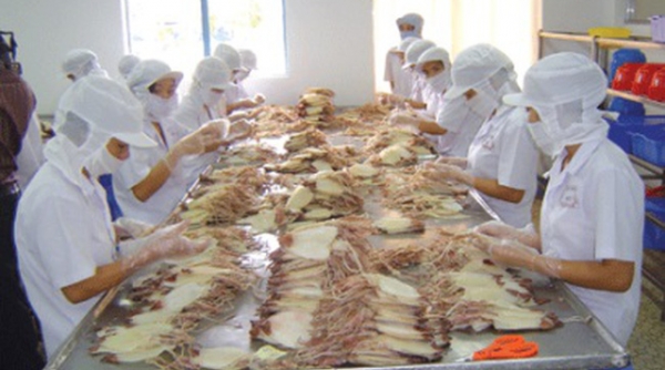Xuất khẩu mực, bạch tuộc của Việt Nam trong tháng 8 tiếp tục giảm nhẹ