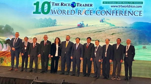Hapro xúc tiến xuất khẩu tại Hội nghị Gạo thế giới lần thứ 10 tại Hà Nội