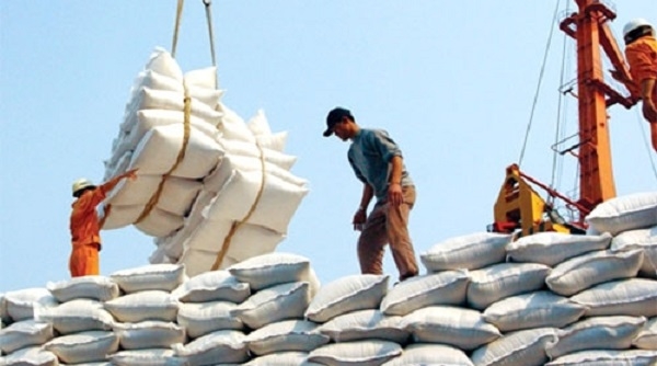 NHNN yêu cầu các tổ chức tín dụng cân đối vốn cho vay xuất khẩu gạo