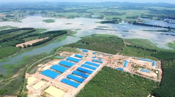 Đồng Nai: Buộc tháo dỡ trại chăn nuôi heo 1,4 ha không phép bên hồ Trị An