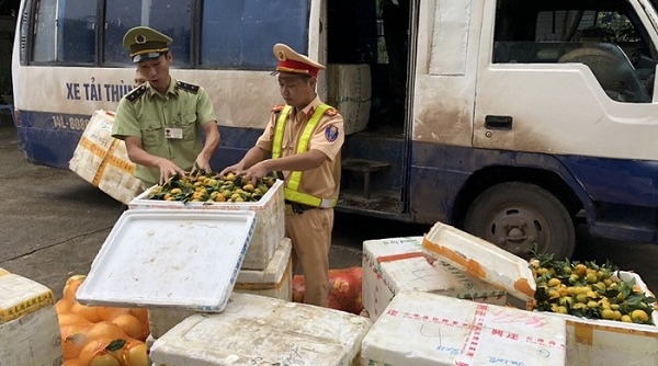 Quảng Ninh: Bắt giữ ô tô vận chuyển hơn 1000kg hoa quả không rõ nguồn gốc