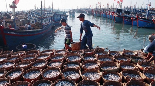 Hướng dẫn người dân, doanh nghiệp phát triển nuôi trồng thủy sản biển