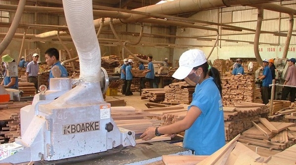 Tăng cường kiểm soát nhập khẩu gỗ và sản phẩm gỗ vào Việt Nam
