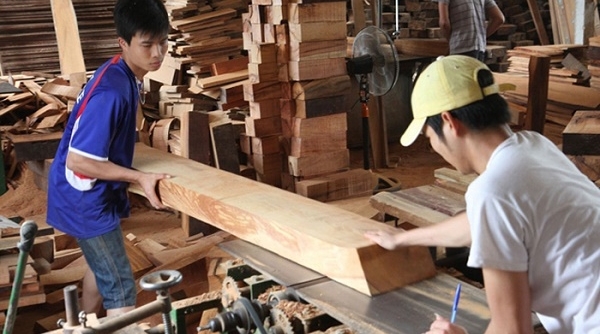 Hiệp định VPA/FLEGT: Mở rộng 'cánh cửa' xuất khẩu gỗ Việt ra thế giới