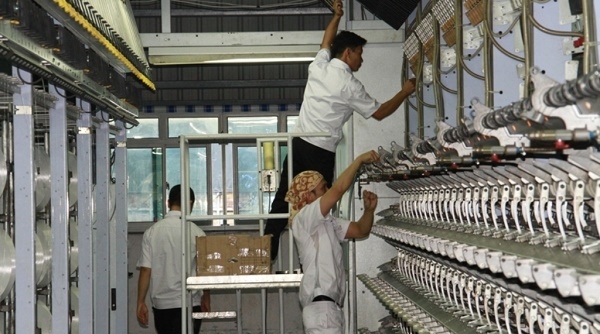 Nhà máy Xơ sợi Đình Vũ nâng gấp đôi công suất sản xuất sợi DTY