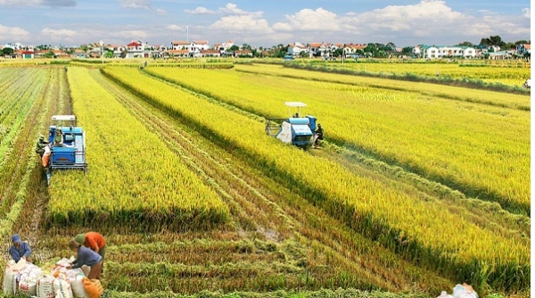 Hà Nội: Cho phép cải tạo, chống xuống cấp 107 công trình trong lĩnh vực nông nghiệp