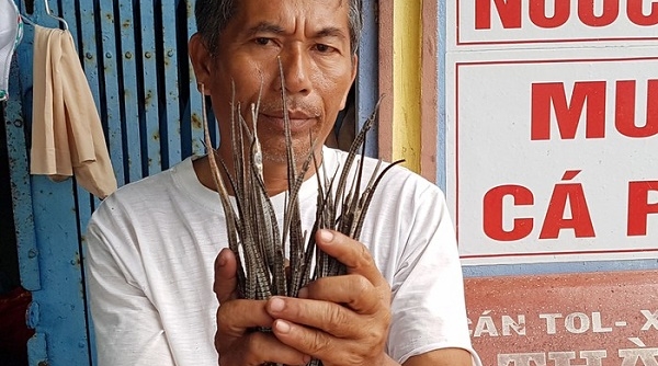 Thương lái bí ẩn thu mua cá ‘lìm kìm gai’ ở Cà Mau dần lộ diện