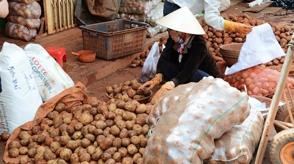 Tăng cường kiểm soát “nông sản ngoại đội lốt Việt”