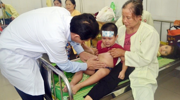 Đã tìm ra nguyên nhân vụ gần 200 trẻ em bị ngộ độc tại Hà Nội