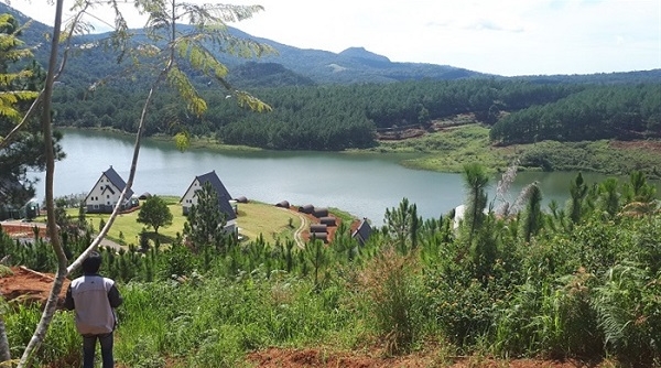 Lâm Đồng: Yêu cầu xử lý nghiêm hành vi vi phạm về xây dựng tại Khu du lịch quốc gia hồ Tuyền Lâm