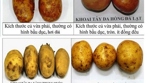 Bộ Công thương lên tiếng về nông sản nhập khẩu "đột lốt" hàng Việt Nam