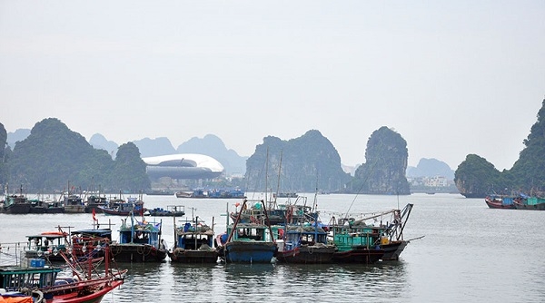 Đẩy mạnh công tác bảo vệ và phát triển nguồn lợi thủy sản tại Quảng Ninh