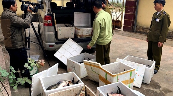 Lạng Sơn: Bắt giữ trên 400 kg cá tầm và nhiều mỹ phẩm nhập lâu