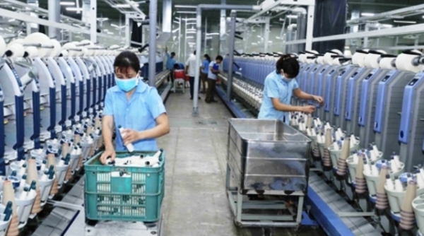 Hà Tĩnh: Có 883 doanh nghiệp được thành lập mới