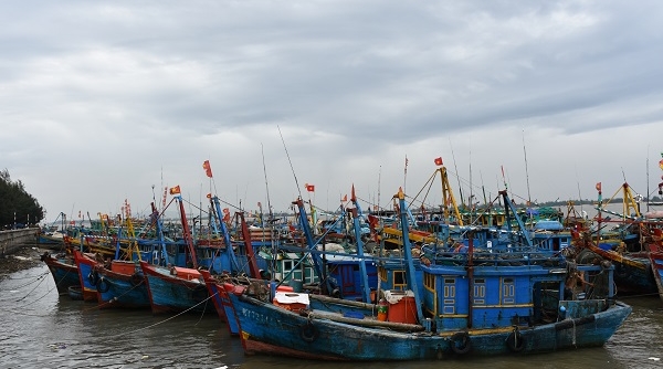 Bộ trưởng Nguyễn Xuân Cường kiểm tra công tác ứng phó cơn bão số 9 tại Bà Rịa - Vũng Tàu