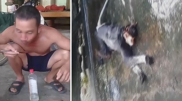 Hà Tĩnh: Xác định danh tính 5 thanh niên giết khỉ rồi phát trực tiếp trên MXH Facebook