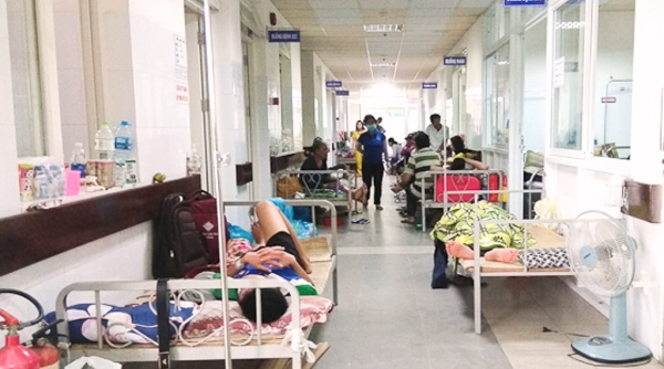 Đà Nẵng: Bệnh nhân quá tải vì sốt xuất huyết
