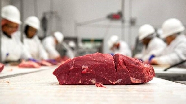 Thịt bò Tây Ban Nha đang tìm cách ‘đổ bộ’ sang thị trường Việt Nam