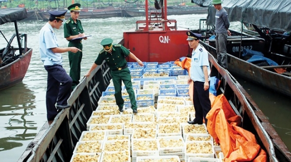 Quảng Ninh: Chủ động phòng chống buôn lậu