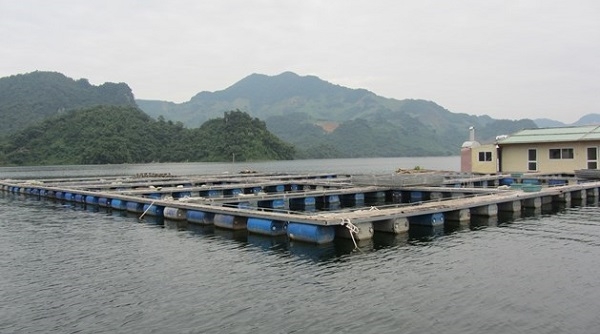 Hà Nội: Điều chỉnh quy mô 9 mô hình thủy sản