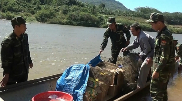 Quảng Trị: Bắt giữ cụ ông 72 tuổi chở gần 300kg pháo lậu