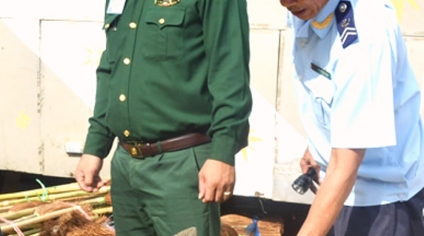 Quảng Trị: Bắt gữi 120 kg pháo hoa nhập lậu