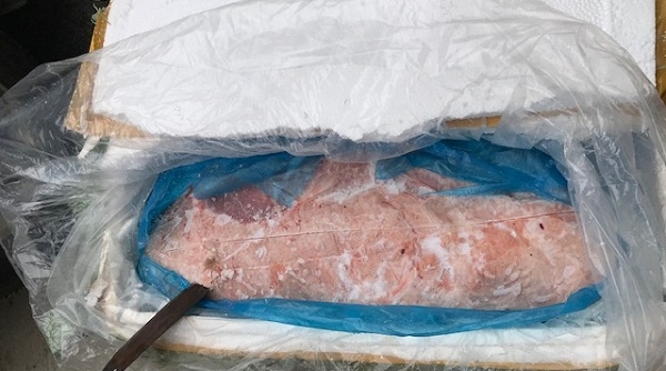Lạng Sơn: Bắt giữ 2 vụ nầm lợn không rõ nguồn gốc