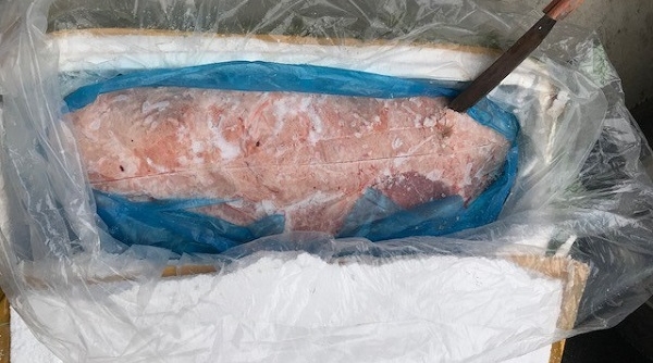 Lạng Sơn: Bắt giữ hơn 1 tấn nội tạng lợn nhập lậu từ Trung Quốc