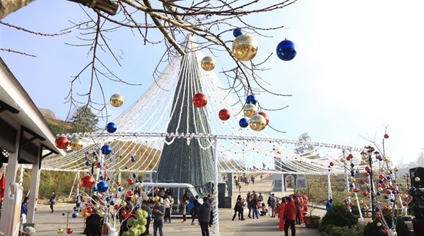 Du khách đổ lên Fansipan chiêm ngưỡng “cây thông Noel đẹp nhất châu Âu”