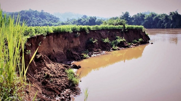Sông Đồng Nai sạt lở nghiêm trọng, hàng loạt giấy phép khai thác cát bị thu hồi