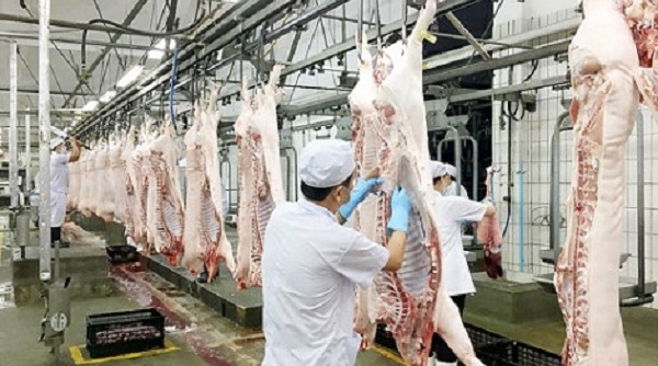 Năm 2019, sản xuất thịt lợn của Việt Nam đứng thứ 6 thế giới