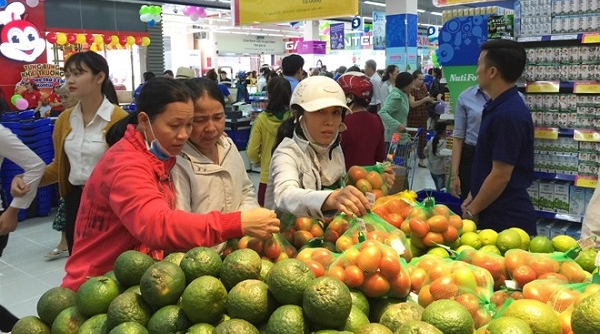 Hà Nội: Phát triển chợ thương mại điện tử tiêu thụ sản phẩm nông nghiệp an toàn
