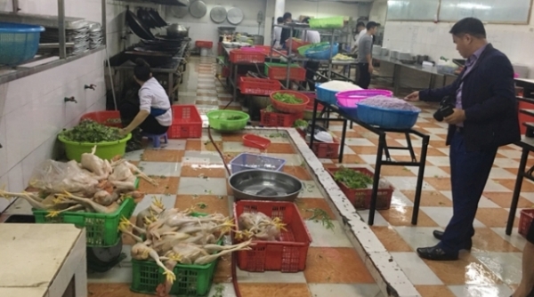 Hà Tĩnh: "Tuồn" thịt gà không rõ nguồn gốc vào nhà hàng, khách sạn