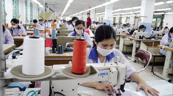 Nhu cầu nhập khẩu nguyên liệu ngành hàng dệt may tăng mạnh