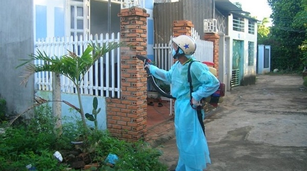 Bộ Y tế: Người dân cần cảnh giác với hóa chất diệt côn trùng giả