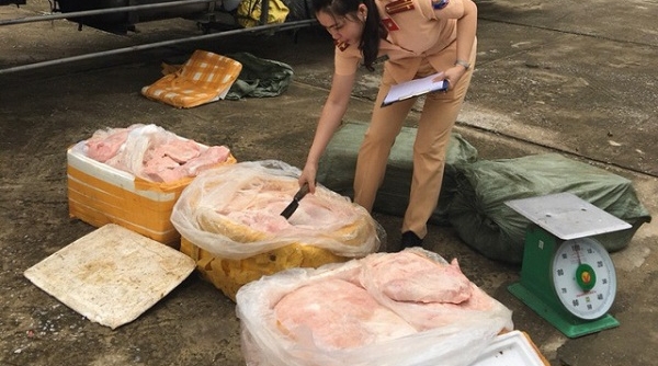 Hà Nội: Bắt giữ vụ vận chuyển 2,5 tấn nầm động vật bốc mùi hôi thối
