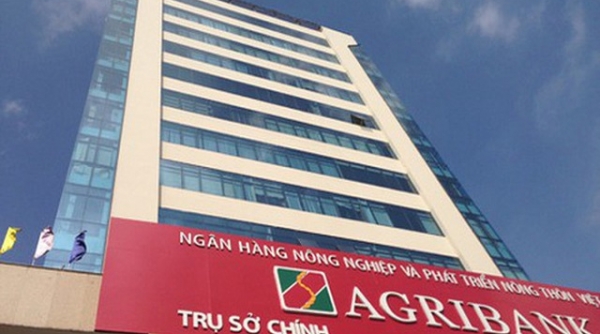 Agribank rao bán đấu giá tài sản bảo đảm của Công ty TNHH Đại Việt trị giá 350 tỷ đồng