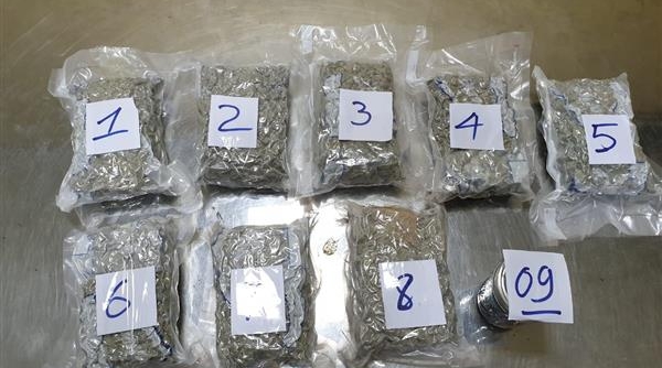 Hải quan Tân Sơn Nhất bắt giữ 2,3kg ma túy từ Mỹ về Việt Nam