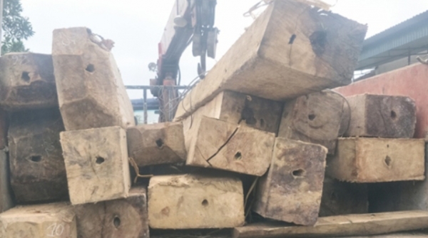 Hà Tĩnh: Phát hiện, thu giữ 16 bê gỗ lậu